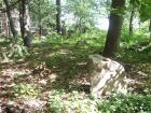 thumbs/040716_Menhiry 012.jpg